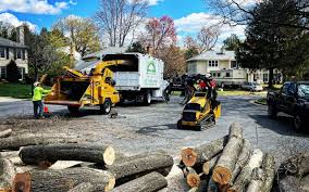 Best Aeration Services  in Tipton, CA
